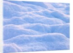 Snow by Assaf Frank